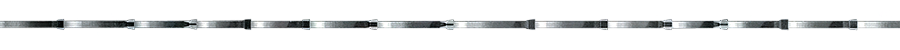 Pilov� p�s FUTURA