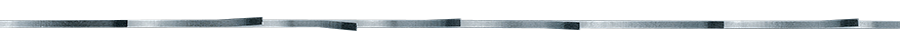 Pilov� p�s GIGANT X3000