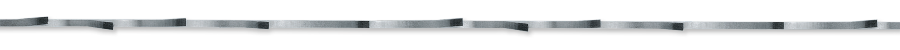 Pilov� p�s VECTOR M42